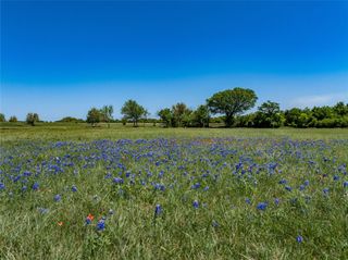 Tract 1 W Fm 1291, Round Top, TX 78954