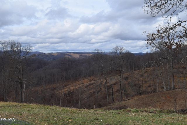 27.33 Ac Big Springs Road, Eidson, TN 37731