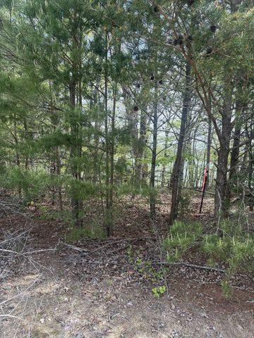 16624 N Star Cir, Bakewell, TN 37373