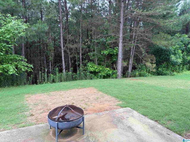 605 BRIAR RIDGE CIRCLE, Odenville, AL 35120