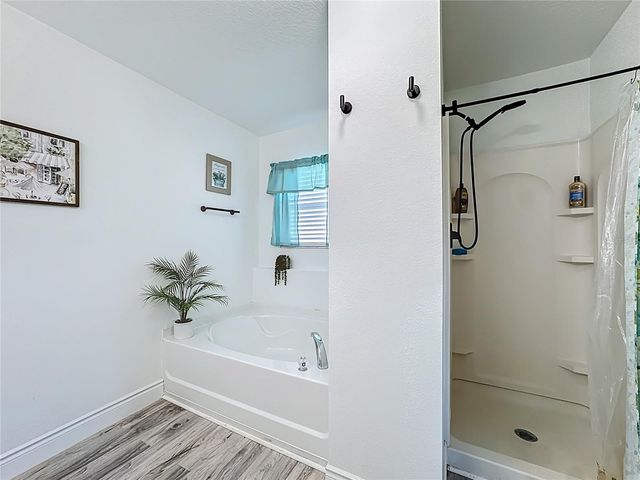 13841 CHIHULY COURT, Orlando, FL 32824