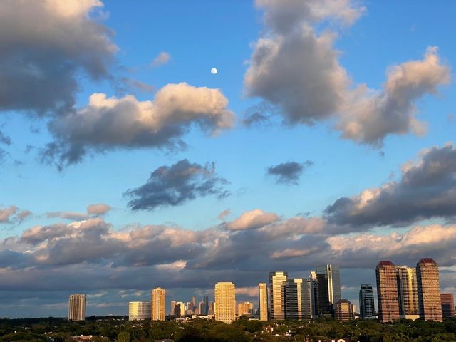 1111 Bering Drive 1001, Houston, TX 77057