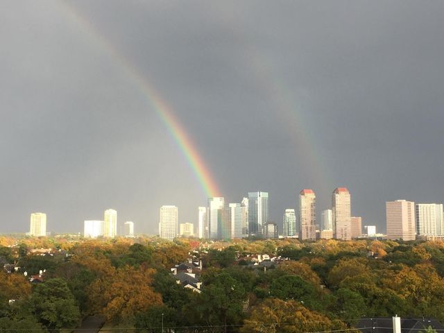 1111 Bering Drive 1001, Houston, TX 77057