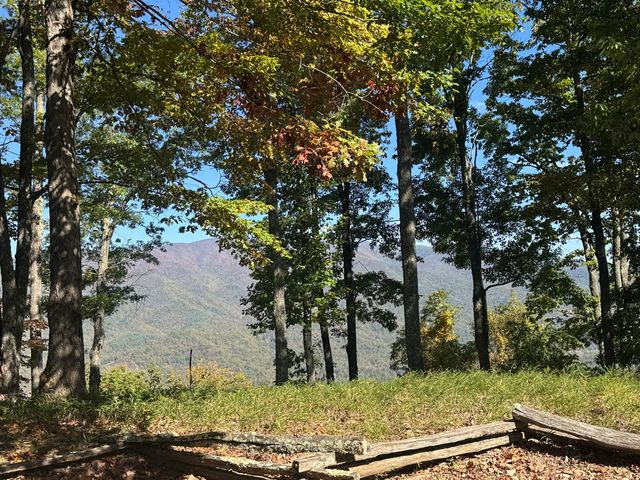 1280 E Double Knobs Drive, Hayesville, NC 28904