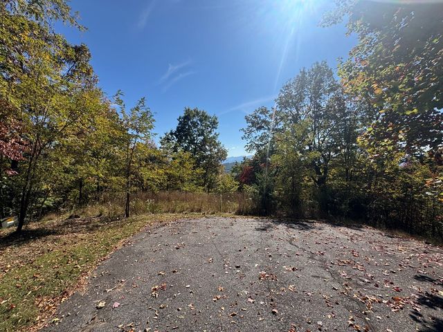 1280 E Double Knobs Drive, Hayesville, NC 28904