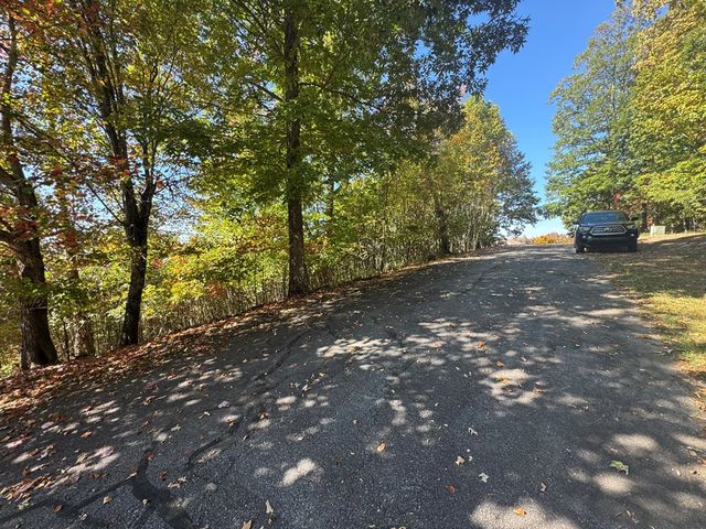 1280 E Double Knobs Drive, Hayesville, NC 28904