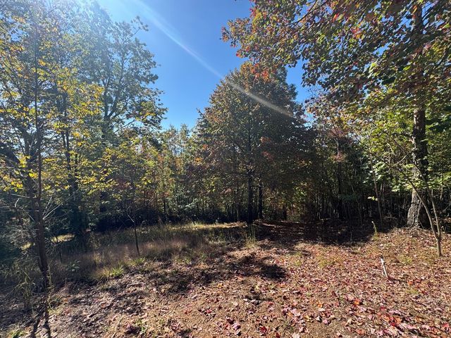 1280 E Double Knobs Drive, Hayesville, NC 28904