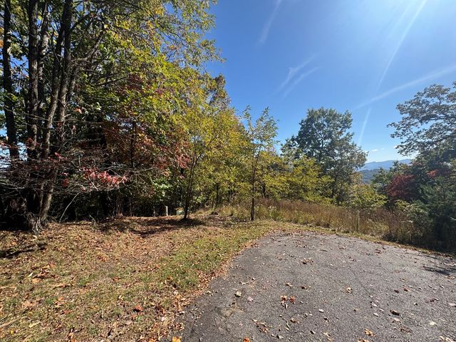 1280 E Double Knobs Drive, Hayesville, NC 28904