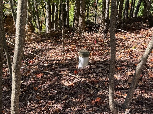 1280 E Double Knobs Drive, Hayesville, NC 28904