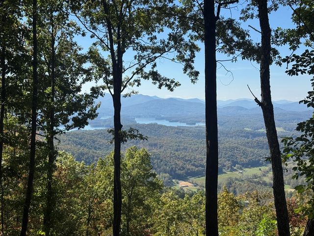 1280 E Double Knobs Drive, Hayesville, NC 28904