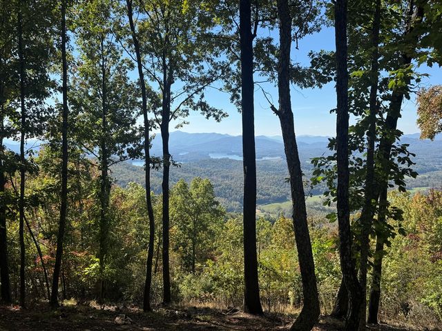 1280 E Double Knobs Drive, Hayesville, NC 28904