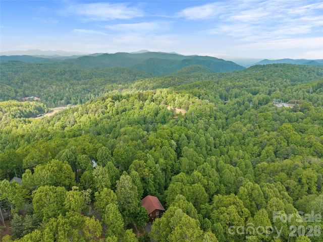 350 Laurel Mountain Trail, Saluda, NC 28773
