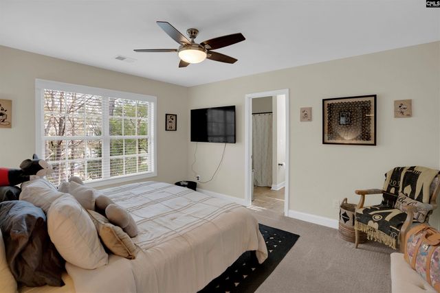 110 Night Harbor Drive, Chapin, SC 29036