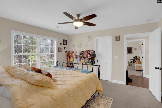 110 Night Harbor Drive, Chapin, SC 29036