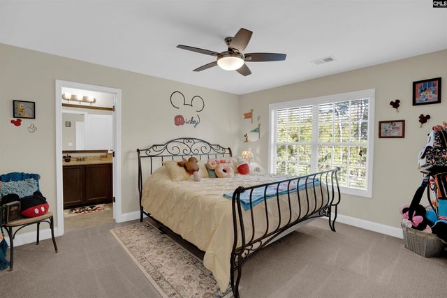 110 Night Harbor Drive, Chapin, SC 29036