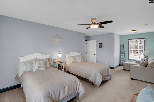 110 Night Harbor Drive, Chapin, SC 29036