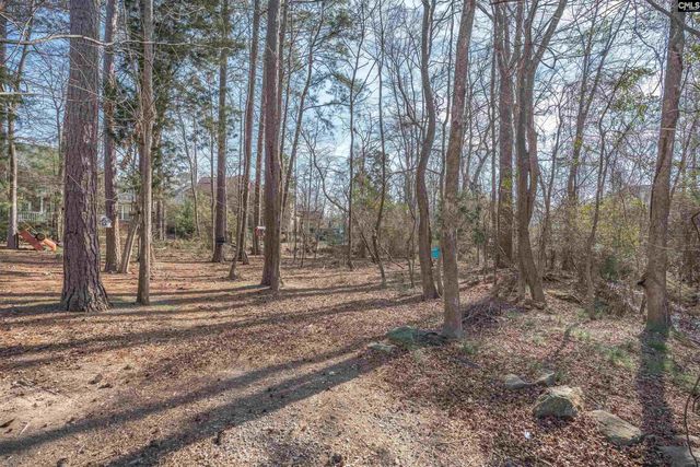 110 Night Harbor Drive, Chapin, SC 29036