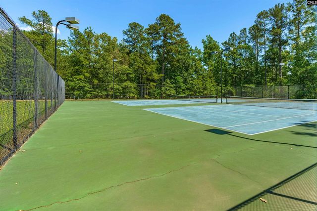 110 Night Harbor Drive, Chapin, SC 29036