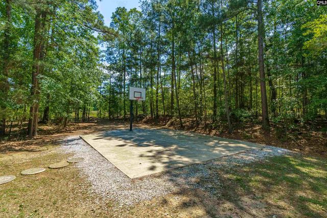 110 Night Harbor Drive, Chapin, SC 29036