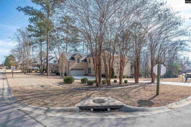 110 Night Harbor Drive, Chapin, SC 29036