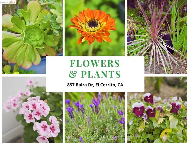 857 Balra Dr, El Cerrito, CA 94530