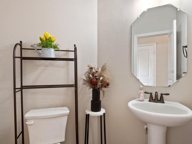 17903 Linkhill DR, Dripping Springs, TX 78620