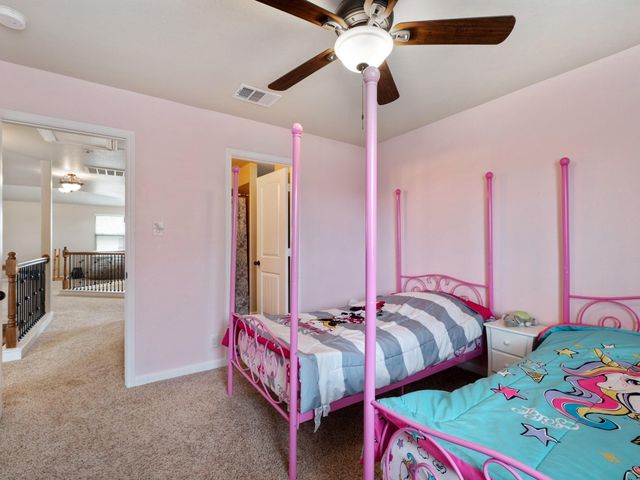 17903 Linkhill DR, Dripping Springs, TX 78620