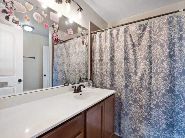 17903 Linkhill DR, Dripping Springs, TX 78620