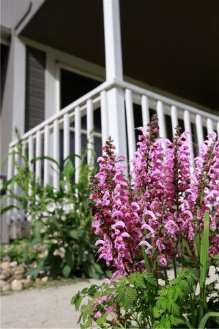 29208 E 343rd Street, Garden City, MO 64747