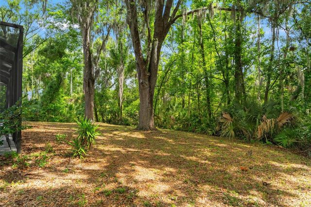 16105 CADBURY COURT, Tampa, FL 33647