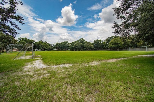 10035 REMINGTON DRIVE, Riverview, FL 33578