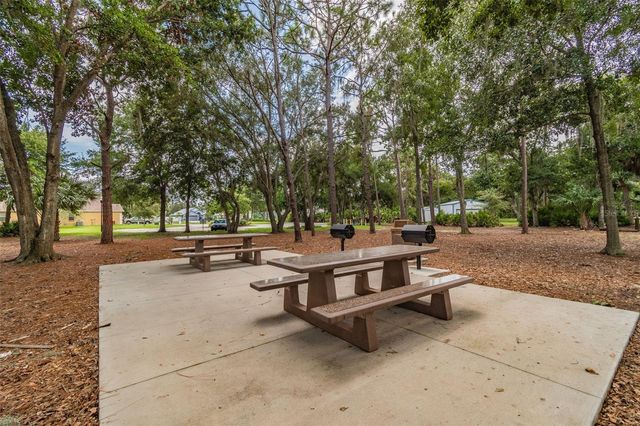 10035 REMINGTON DRIVE, Riverview, FL 33578