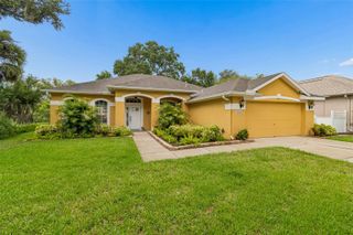 10035 REMINGTON DRIVE, Riverview, FL 33578