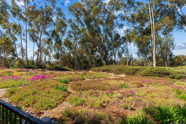 10884 Caminito Colorado, San Diego, CA 92131