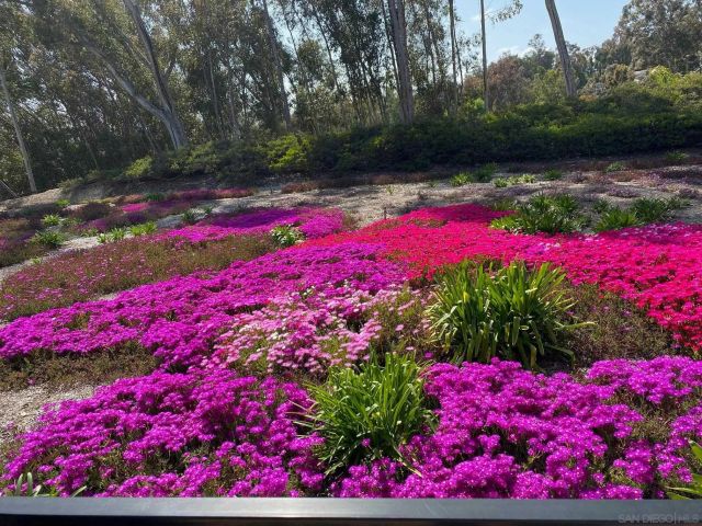 10884 Caminito Colorado, San Diego, CA 92131