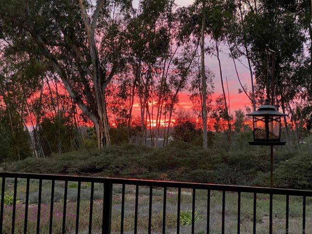 10884 Caminito Colorado, San Diego, CA 92131