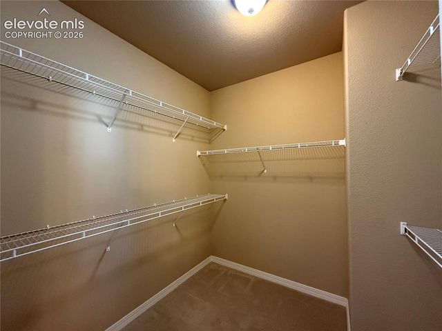 15834 Kansas Pacific Court, Monument, CO 80132