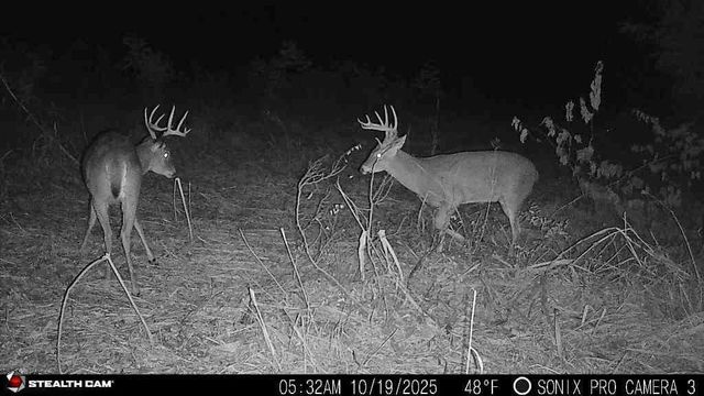 9170 E Highway, Camden Point, MO 64018