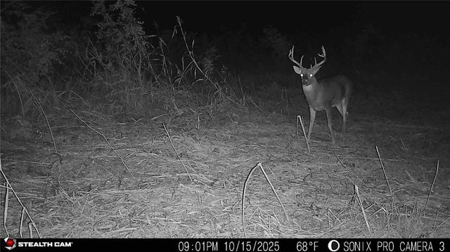 9170 E Highway, Camden Point, MO 64018