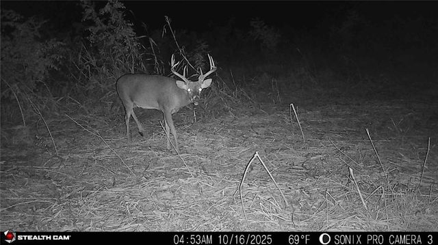 9170 E Highway, Camden Point, MO 64018