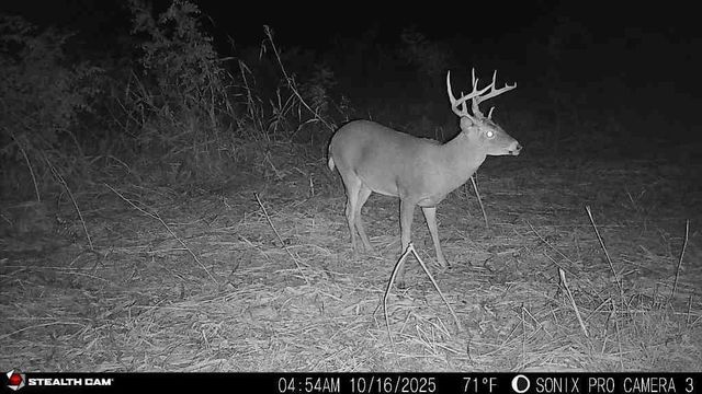 9170 E Highway, Camden Point, MO 64018