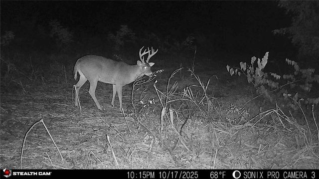 9170 E Highway, Camden Point, MO 64018