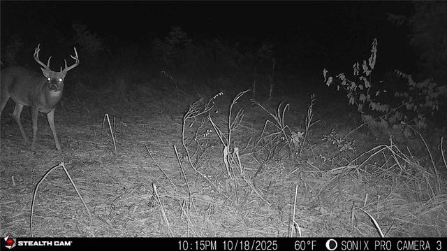 9170 E Highway, Camden Point, MO 64018