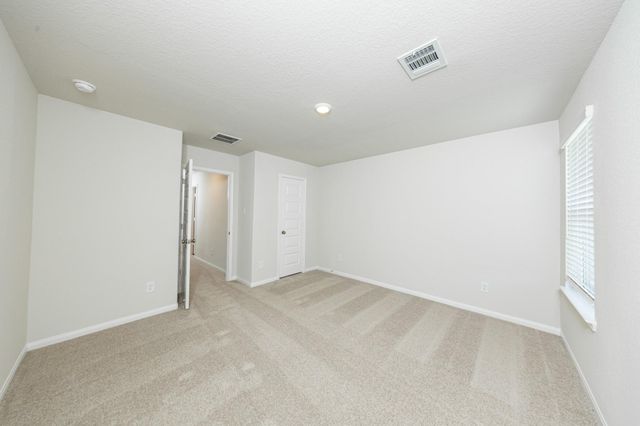 2316 Pipefish Drive, Conroe, TX 77384