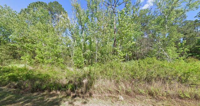 210 Redwood Blvd, Georgetown, FL 32139