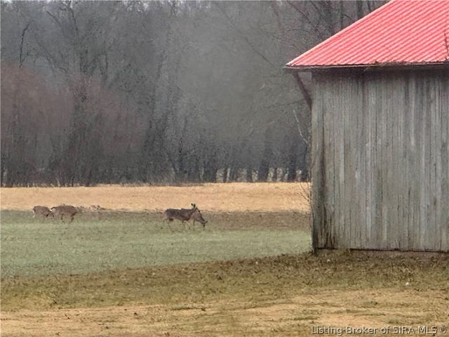 116 Guernsey Farm Lane, Memphis, IN 47143