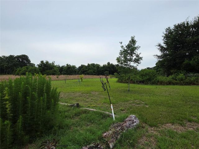 2510 NE 165TH STREET, Citra, FL 32113