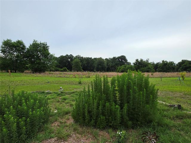 2510 NE 165TH STREET, Citra, FL 32113
