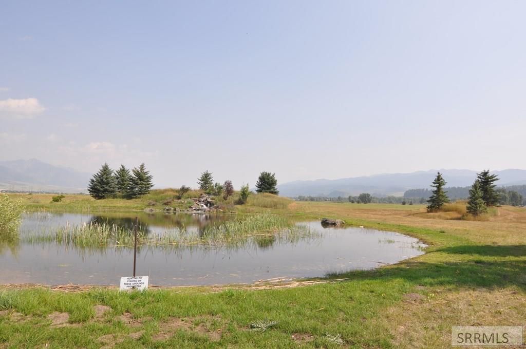 Image 10 of property listing at L9 B3 Swan Springs Drive, Swan Valley, ID 83449