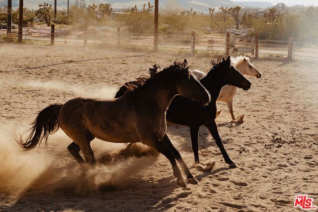55626 Pipes Canyon Road, Yucca Valley, CA 92284